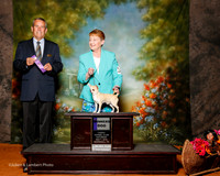 Chihuahua Smooth Coat #5 Sat WD Evans Linda and Donna Jensen Judge Dana Cline