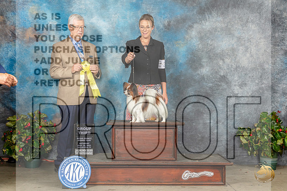 Papillon #34 Sat G3 Judge Dr Michael J WoodsMJP_9179_SA2023_HR3