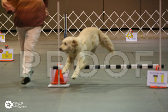 MJ2_0461-MsqtApr14-HR3