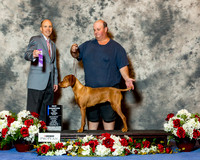Vizsla #12 Sat Maj NC West David Agent Madeline Peterson Judge Larry Abbott