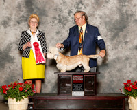 Dandie Dinmont Terrier #5 Sat G2 McDannald sharon and Brad Judge Nancy Smith Hafner
