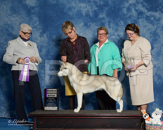 _R1_8292-HuskySltyMar2016-HR3