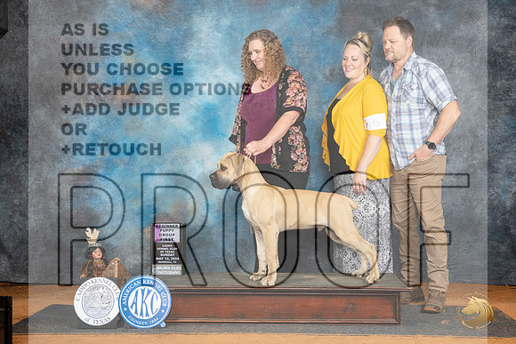 Boerboel #9 Sun PG1 Judge Pamela Wilson__JP_8536_MARSHALL_2024_HR3