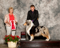 Collie Rough #6 Sat G2 Mosing Jennifer and Connie Dubois Dr Cindi Bossar Agent Brian Livingston Judge Karen Hynek