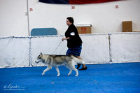 Sled Dog Sat Ring