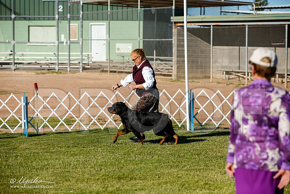 _JJ_8928-AlamogordoOct2014-HR3