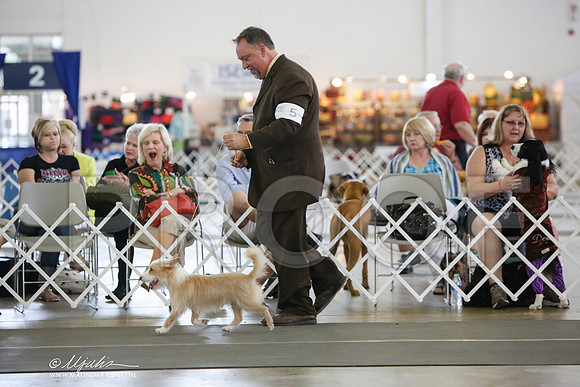 _JJ_2899-DallasJul2014-HR3