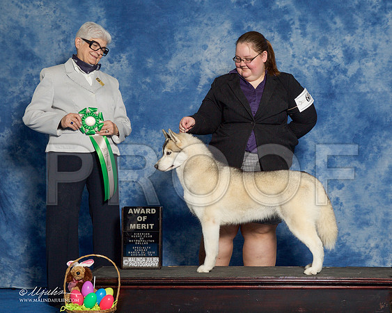 _R1_8297-HuskySltyMar2016-HR3