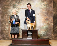 Fench Bulldog #6 Fri NC BOW Weinberg Allen Janis Little J Cirka D Kowata Judge Paula Hartinger
