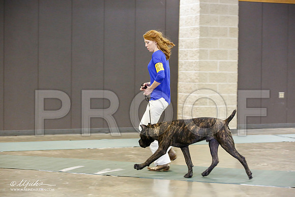_JN_1672-BeltonJan2015-HR3