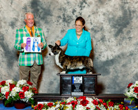 Cardigan Welsh Corgi #9 Fri BOW Maj Macnair Dr Elizabeth S & Elanor S Macnair Judge Dr Steve Keating