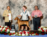 Vizsla #23 Fri G4 Carnahan Karen and Steve Judge Dr Robert Indeglia
