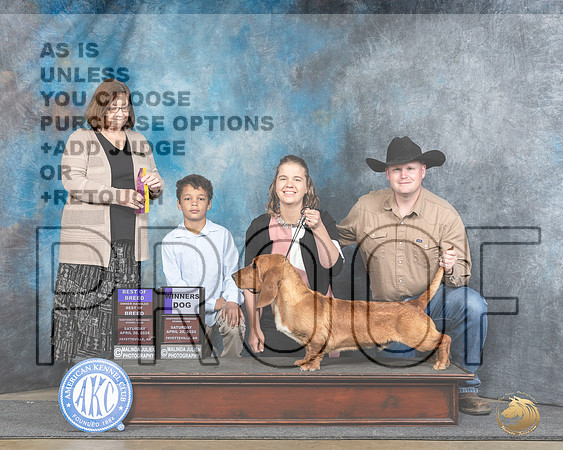 Basset Hound #7 Sat WDBOBOHBOB Judge Elizabeth Muthard__JP_4769e_Fayetteville_2024_HR3