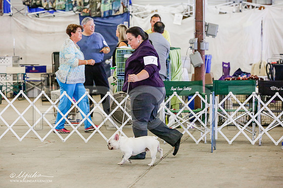 _RH_0346-AlamogordoOct2014-HR3
