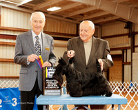 Scottish Terrier #5 Sat BOB NC Steve and Debi Russell Judge Roger Hartinger