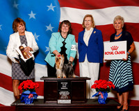 #59 Thurs 2nd 12-15 Puppy Dog Sweeps Howard Julie and Sherri Spieth Judge Lauri Loisel