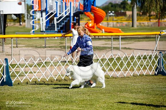_JJ_9928-AlamogordoOct2014-HR3