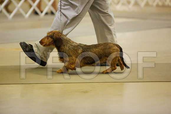 _JN_3768-AmarilloSept2014-HR3