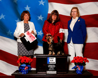 #28 Thurs 1st 6-9 Puppy Bitch Sweeps Fett Rosane Agent Tonia Holibaugh Judge Lauri Loisel
