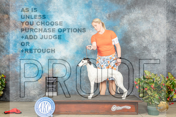 Whippet #24 Thurs G4 Judge Dr Michael J Woods rMJP_7644_SA2023_HR3