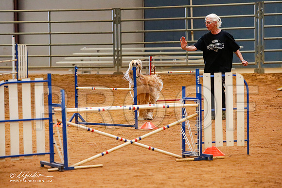 _JJ_5763-AfgBeltonOct2014-HR3