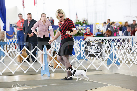 _CK_6995-DallasJul2014-HR3