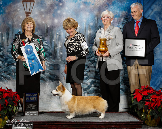 _ST_8790-2-DallasDec2014-HR3