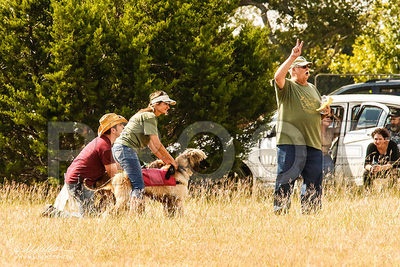 _MJ_5395-AfgBeltonOct2014-HR3