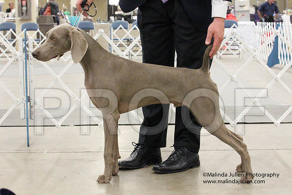 Weim-1422