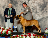 Bullmastiff #7 Fri BOW Maj Bellamy David R Donna Mullins Judge Mr Ronald H Menaker