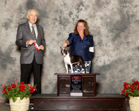 Boston Terrier #6 Sat BOS Mancine Dawn Stacie Kinnaird Judge Roger Hartinger