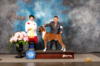 Boxer #23 Sun G3 Judge Barbara Alderman