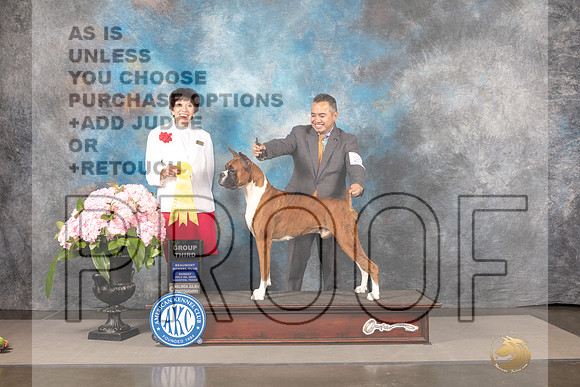 Boxer #23 Sun G3 Judge Barbara Alderman_MJ_8414_Houston_2022_HR3