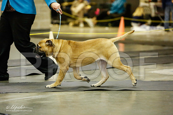 _RH_1543-BeltonJan2015IABCA-HR3