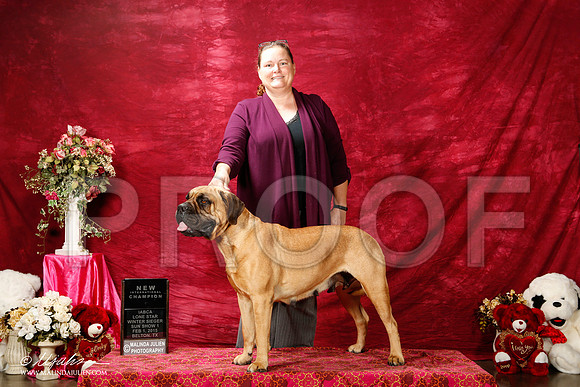_ST_2878-2-BeltonJan2015IABCA-HR3
