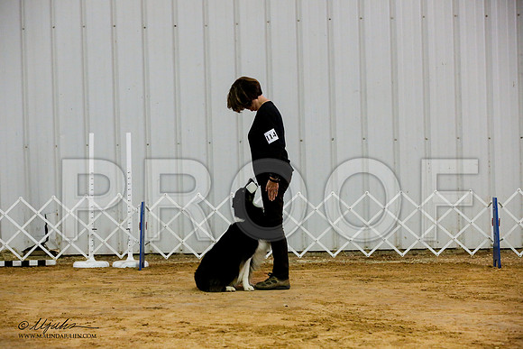 _JJ_7861-ASCACollegeStationNov2014-HR3