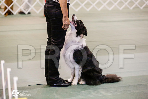 _RH_6059-BsrCtyJun2014-HR3