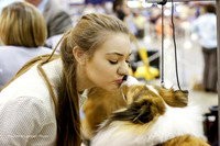 Shetland Sheepdog #27 Sat Rings