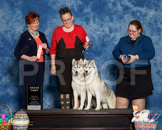 _R1_8222-HuskySltyMar2016-HR3