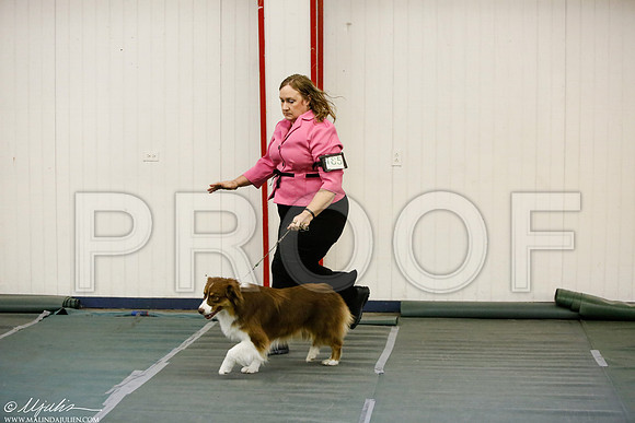 _MJ_4938-DentonMar2015-HR3