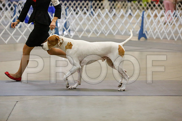 _JJ_2683-AmarilloSept2014-HR3
