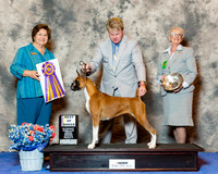 Boxer #44 Wed BOB Emerson Jim and Karen and Brenda Stuckey and Terri Galle Judge Keke Kahn