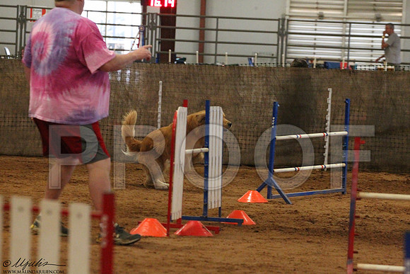 JWWSunAgility-5198LR