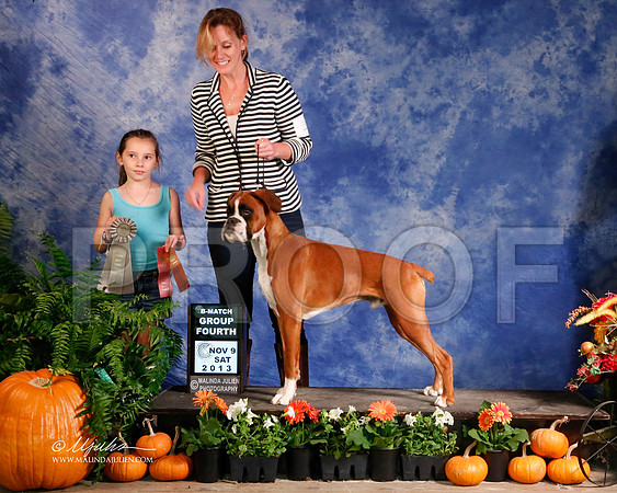boxer-5026-HstnNov13-HR
