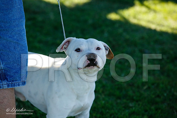 _JN_4389-AlamogordoOct2014-HR3