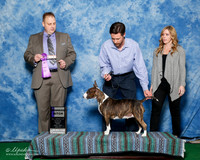 #14 Fri WB Keith and Danielle Sherar and Robert Cooley Judge Mr Phil Jaspers