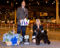 Poodle Miniature #17 Wed NC BOW Gross Ken and Betsy Gross Agnet Elizabeth Brown Judge Larry Abbott