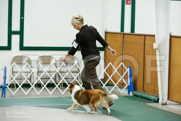 _JJ_4584-NrmnNov2014-HR3
