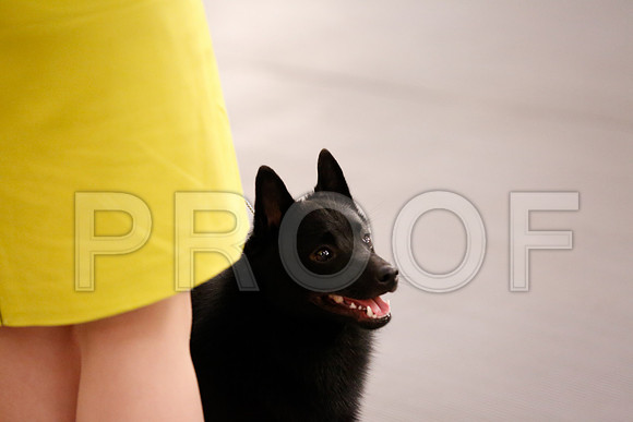 _RH_6152-CarlrolltonSept2014-HR3