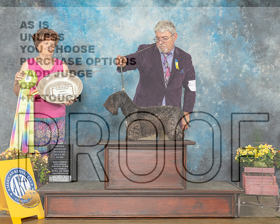 Cesky #15 Sat OHRBIS Judge Carol Jean Nelson-MMJ_0932-NWARK2022-HR3